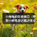 小鳄龟的饮食禁忌（宠物小鳄龟要远离这些食物，以免引发健康问题。）