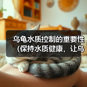 乌龟水质控制的重要性(保持水质健康,让乌龟快乐生活)(图1) 乌龟水质控制的重要性(保持水质健康,让乌龟快乐生活)(图1)