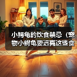 小鳄龟的饮食禁忌（宠物小鳄龟要远离这些食物，以免引发健康问题。）（图4）