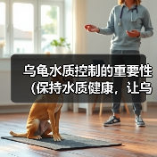 乌龟水质控制的重要性(保持水质健康,让乌龟快乐生活)(图3) 乌龟水质控制的重要性(保持水质健康,让乌龟快乐生活)(图3)
