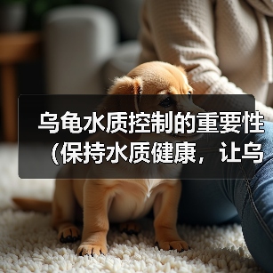 乌龟水质控制的重要性(保持水质健康,让乌龟快乐生活)(图4) 乌龟水质控制的重要性(保持水质健康,让乌龟快乐生活)(图4)