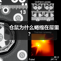 仓鼠为什么蜷缩在屋里？