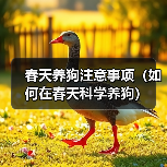 春天养狗注意事项(如何在春天科学养狗)(图3) 春天养狗注意事项(如何在春天科学养狗)(图3)