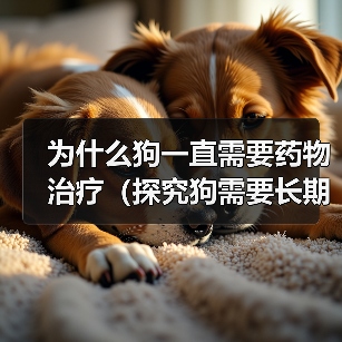 为什么狗一直需要药物治疗（探究狗需要长期用药的原因及影响）（图2）