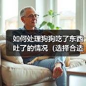 如何处理狗狗吃了东西吐了的情况（选择合适的药物进行治疗，）