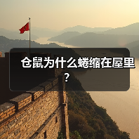 仓鼠为什么蜷缩在屋里？（图4）