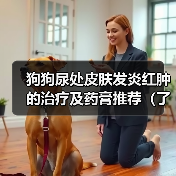 狗狗尿处皮肤发炎红肿的治疗及药膏推荐(了解狗狗尿处皮肤发炎红肿的原因,选择适合的药膏进行治疗)(图3) 狗狗尿处皮肤发炎红肿的治疗及药膏推荐(了解狗狗尿处皮肤发炎红肿的原因,选择适合的药膏进行治疗)(图3)