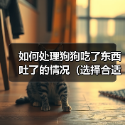 如何处理狗狗吃了东西吐了的情况（选择合适的药物进行治疗，）（图2）