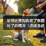 如何处理狗狗吃了东西吐了的情况（选择合适的药物进行治疗，）（图3）