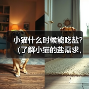 小猫什么时候能吃盐?(了解小猫的盐需求,)(图4) 小猫什么时候能吃盐?(了解小猫的盐需求,)(图4)