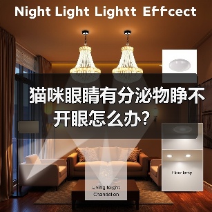猫咪眼睛有分泌物睁不开眼怎么办？（图2）