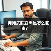 狗狗皮肤变黑是怎么回事？（图3）