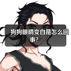 狗狗眼睛变白是怎么回事？