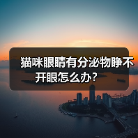 猫咪眼睛有分泌物睁不开眼怎么办？（图4）