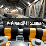狗狗咳嗽是什么原因？（图3）