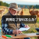 狗狗吃了塑料怎么办？（图1）