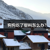 狗狗吃了塑料怎么办？
