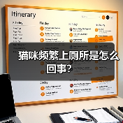 猫咪频繁上厕所是怎么回事？（图4）