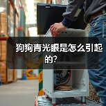 狗狗青光眼是怎么引起的？（图1）