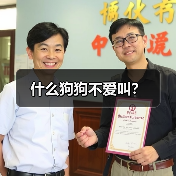 什么狗狗不爱叫？
