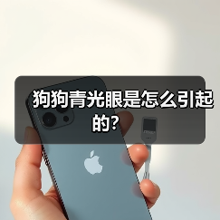 狗狗青光眼是怎么引起的？（图2）