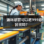 猫咪感冒可以吃999感冒灵吗？（图2）