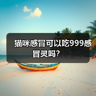 猫咪感冒可以吃999感冒灵吗？（图3）