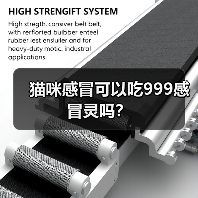 猫咪感冒可以吃999感冒灵吗？