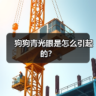 狗狗青光眼是怎么引起的？
