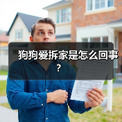 狗狗爱拆家是怎么回事？（图3）