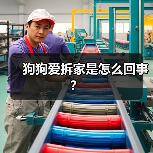 狗狗爱拆家是怎么回事？（图2）