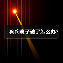 狗狗鼻子破了怎么办？（图1）