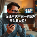 猫咪不吃不喝一直喘气是有肺炎吗？（图2）