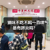 猫咪不吃不喝一直喘气是有肺炎吗？（图3）