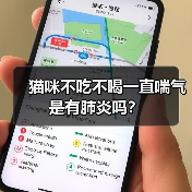 猫咪不吃不喝一直喘气是有肺炎吗？