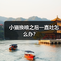 小猫换粮之后一直吐怎么办?(图1) 小猫换粮之后一直吐怎么办?(图1)
