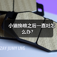 小猫换粮之后一直吐怎么办?(图4) 小猫换粮之后一直吐怎么办?(图4)