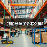 狗的牙掉了会怎么样？（图1）