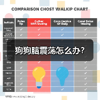 狗狗脑震荡怎么办？（图2）