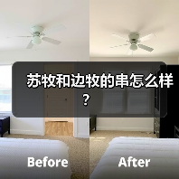 苏牧和边牧的串怎么样？（图3）