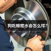 狗吃蜂蜜水会怎么样？（图3）