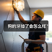 狗的牙掉了会怎么样？（图3）