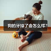 狗的牙掉了会怎么样？