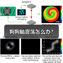 狗狗脑震荡怎么办？（图4）