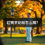 红狗羊奶粉怎么样？