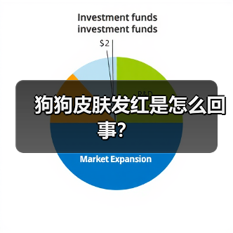 狗狗皮肤发红是怎么回事？