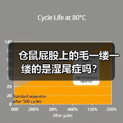 仓鼠屁股上的毛一缕一缕的是湿尾症吗？（图1）
