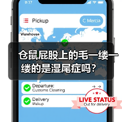 仓鼠屁股上的毛一缕一缕的是湿尾症吗？（图2）