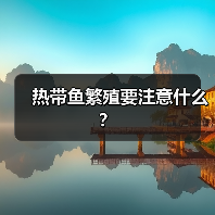 热带鱼繁殖要注意什么？（图2）