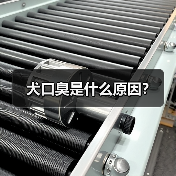 犬口臭是什么原因？